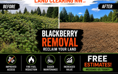 Blackberry Removal Services in Battle Ground, WA and Surrounding Areas