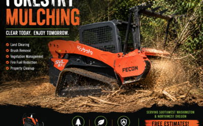 Forestry Mulching: The Fast, Eco-Friendly Way to Reclaim Overgrown Property in Southwest Washington